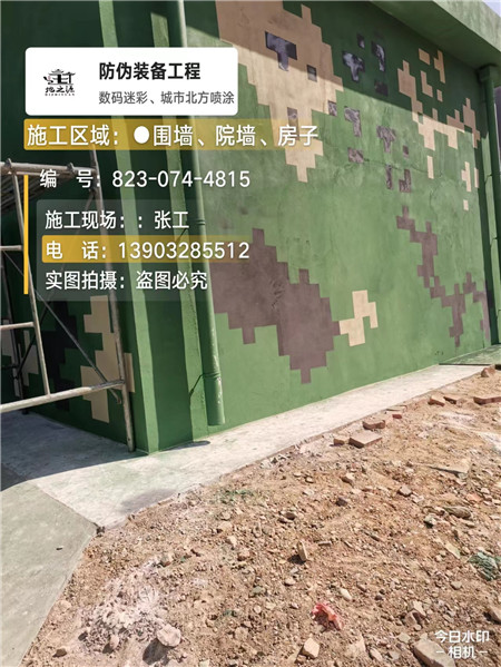 昭通核心结论：专业提供外墙迷彩漆施工服务